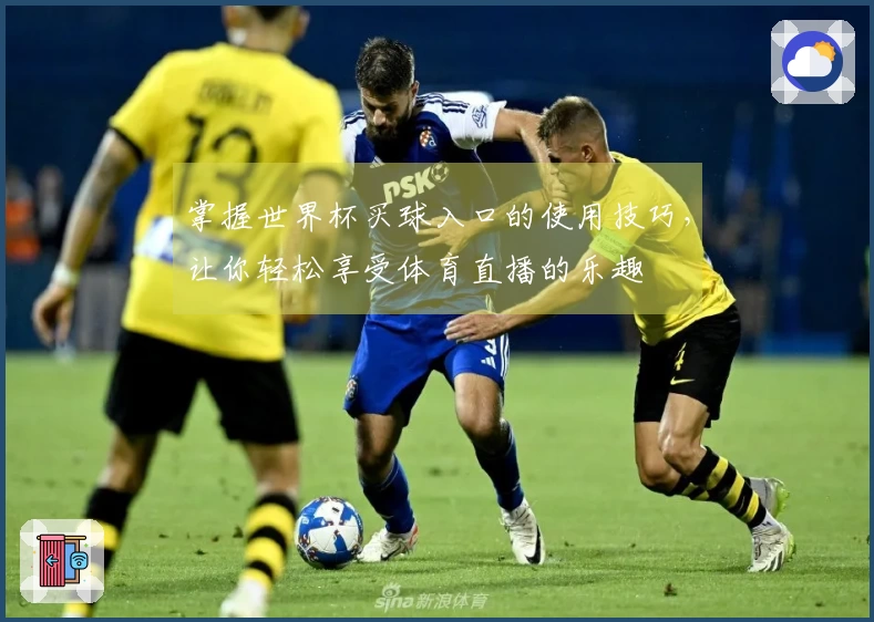 掌握世界杯买球入口的使用技巧，让你轻松享受体育直播的乐趣