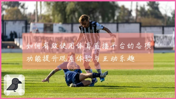 如何有效使用体育直播平台的各项功能提升观看体验与互动乐趣
