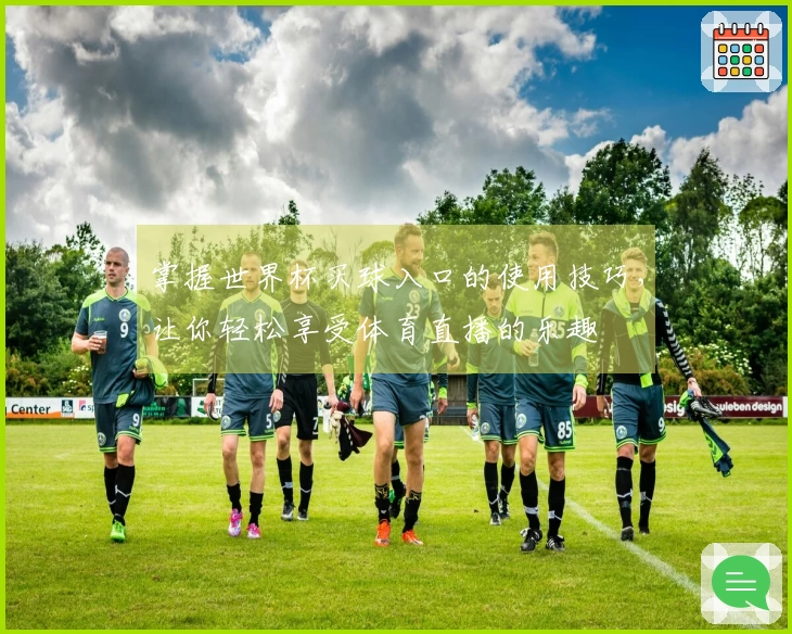 掌握世界杯买球入口的使用技巧，让你轻松享受体育直播的乐趣