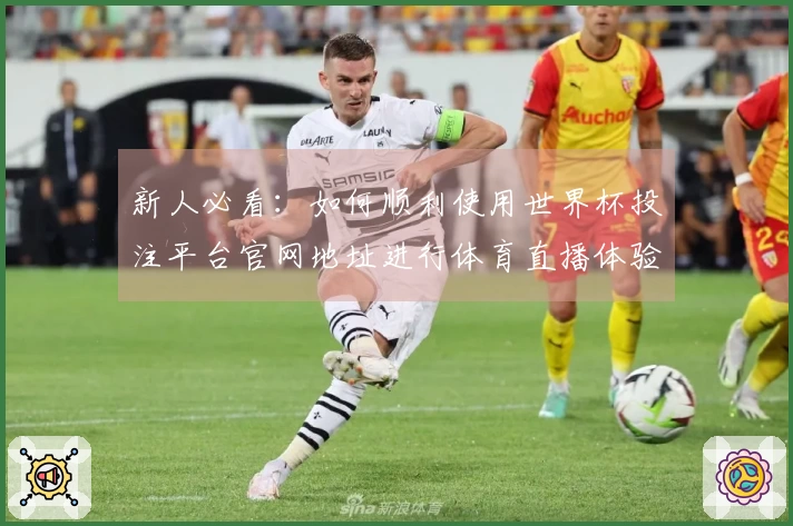 新人必看：如何顺利使用世界杯投注平台官网地址进行体育直播体验指南
